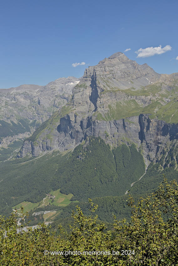 2023-08-20-0121.jpg