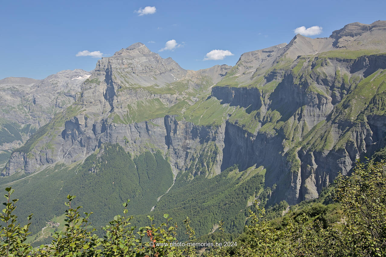 2023-08-20-0123.jpg