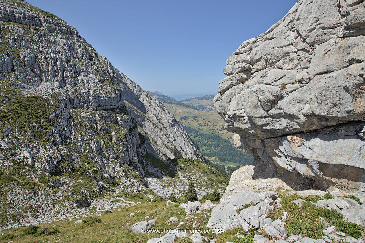 2023-08-23-0178.jpg