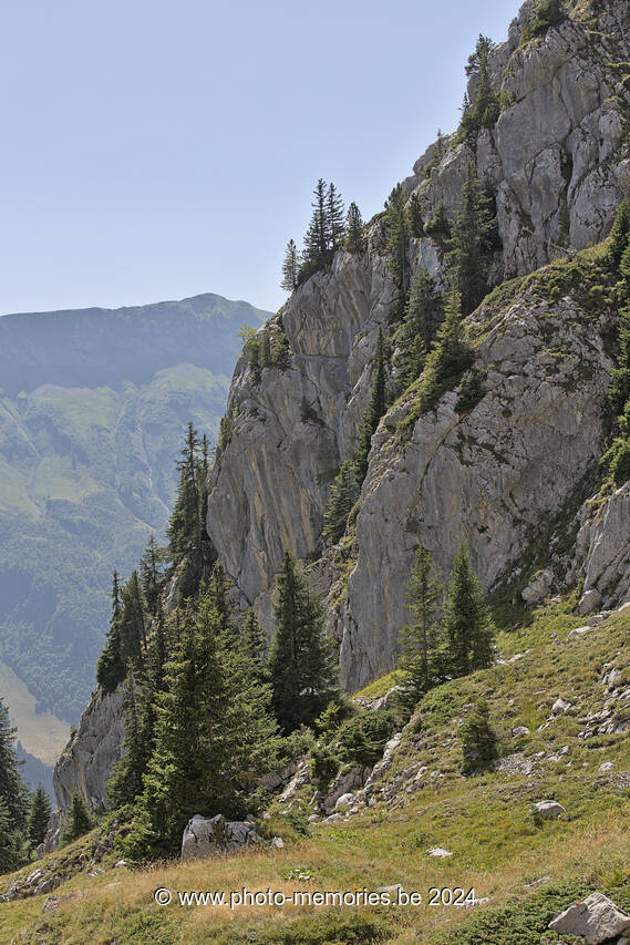 2023-08-23-0179.jpg