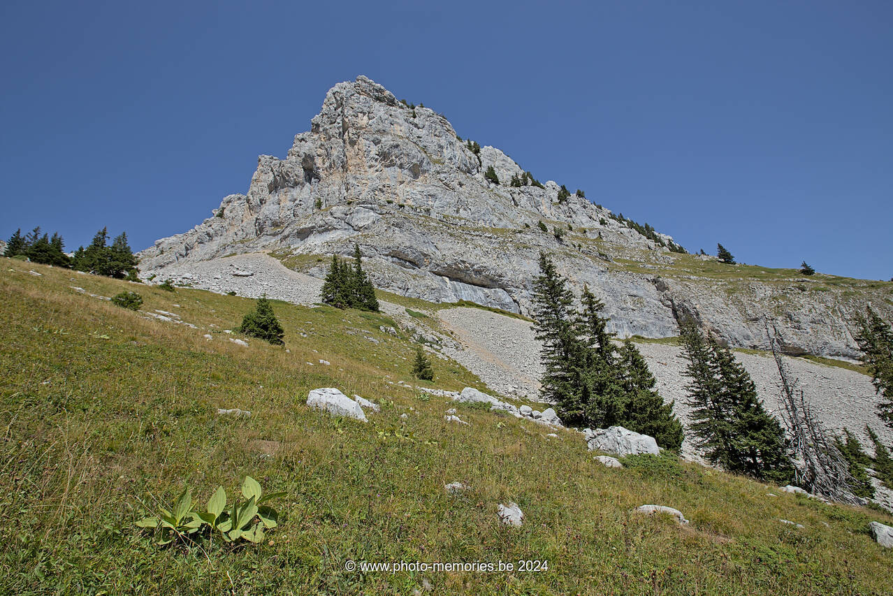 2023-08-23-0180.jpg