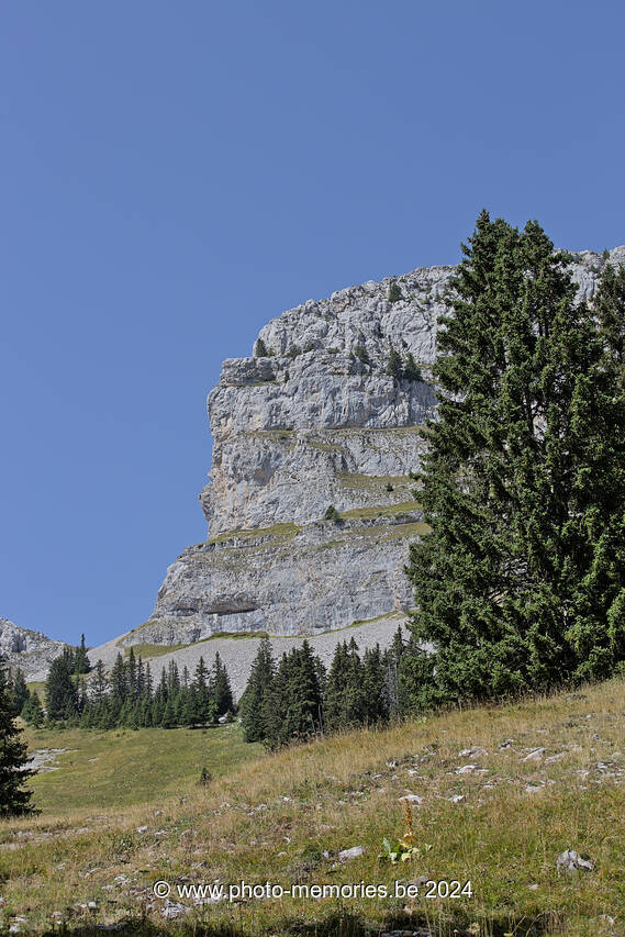 2023-08-23-0184.jpg