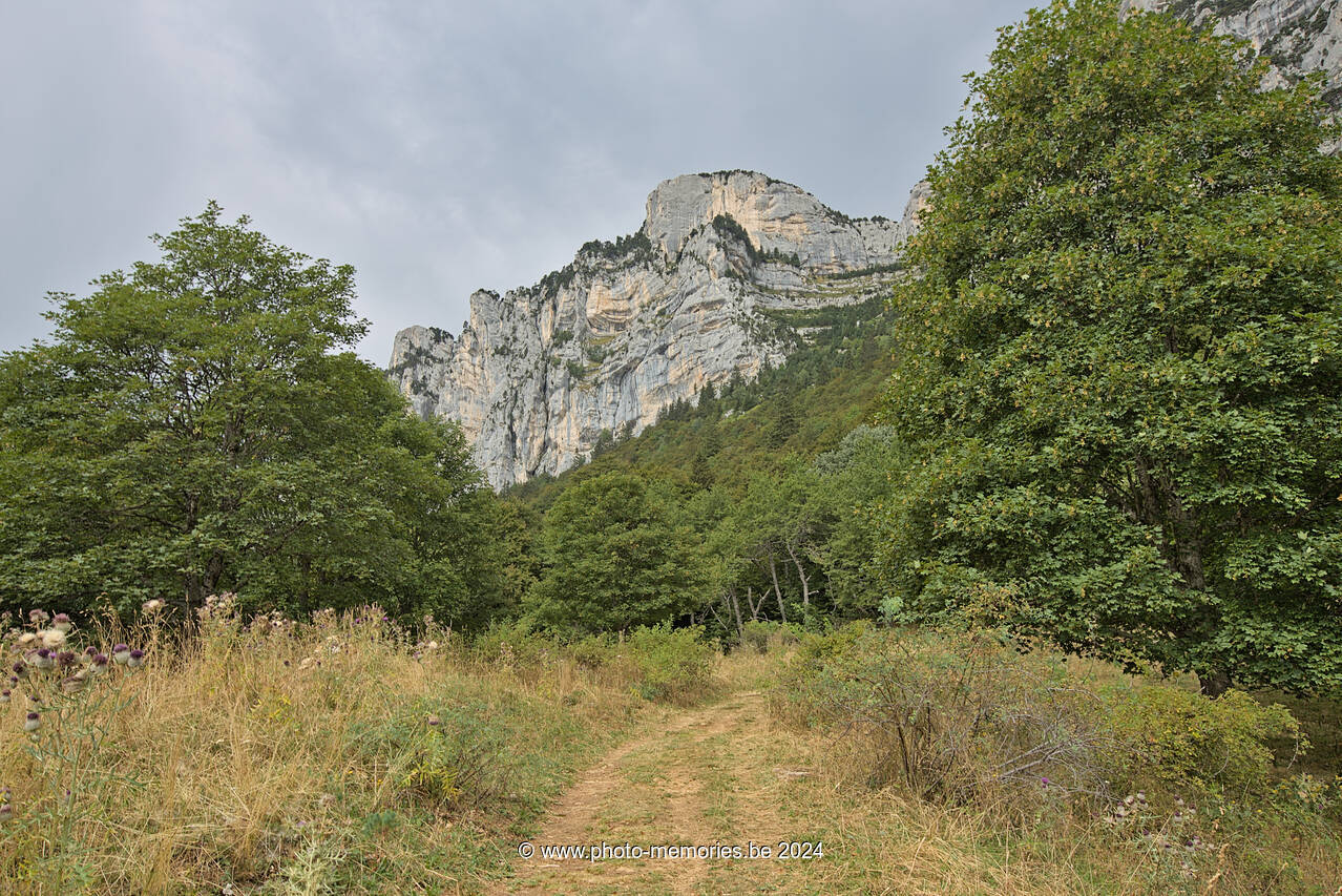 2023-08-25-0199.jpg