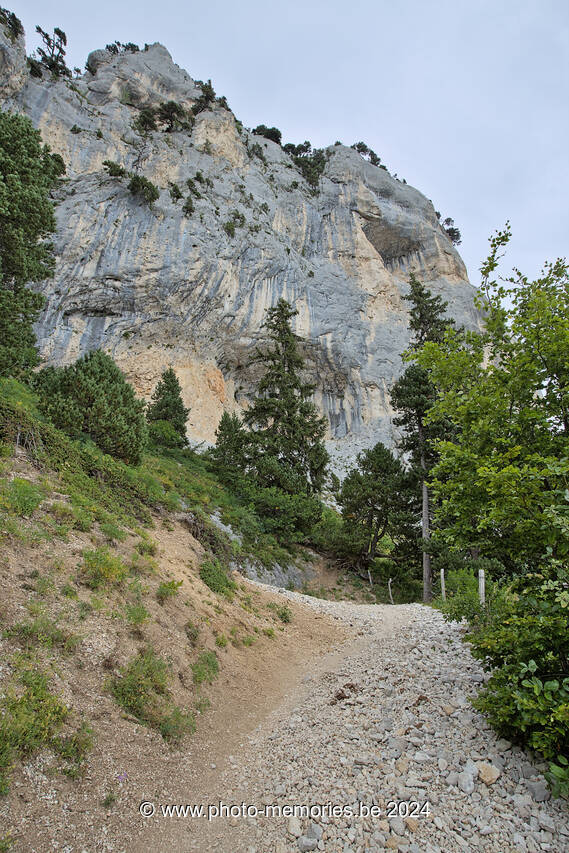 2023-08-25-0201.jpg