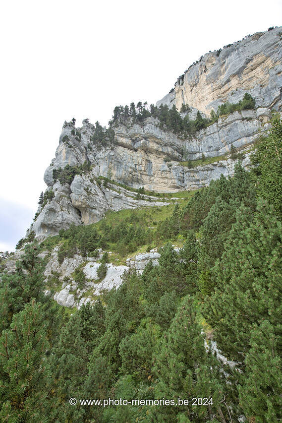 2023-08-25-0202.jpg