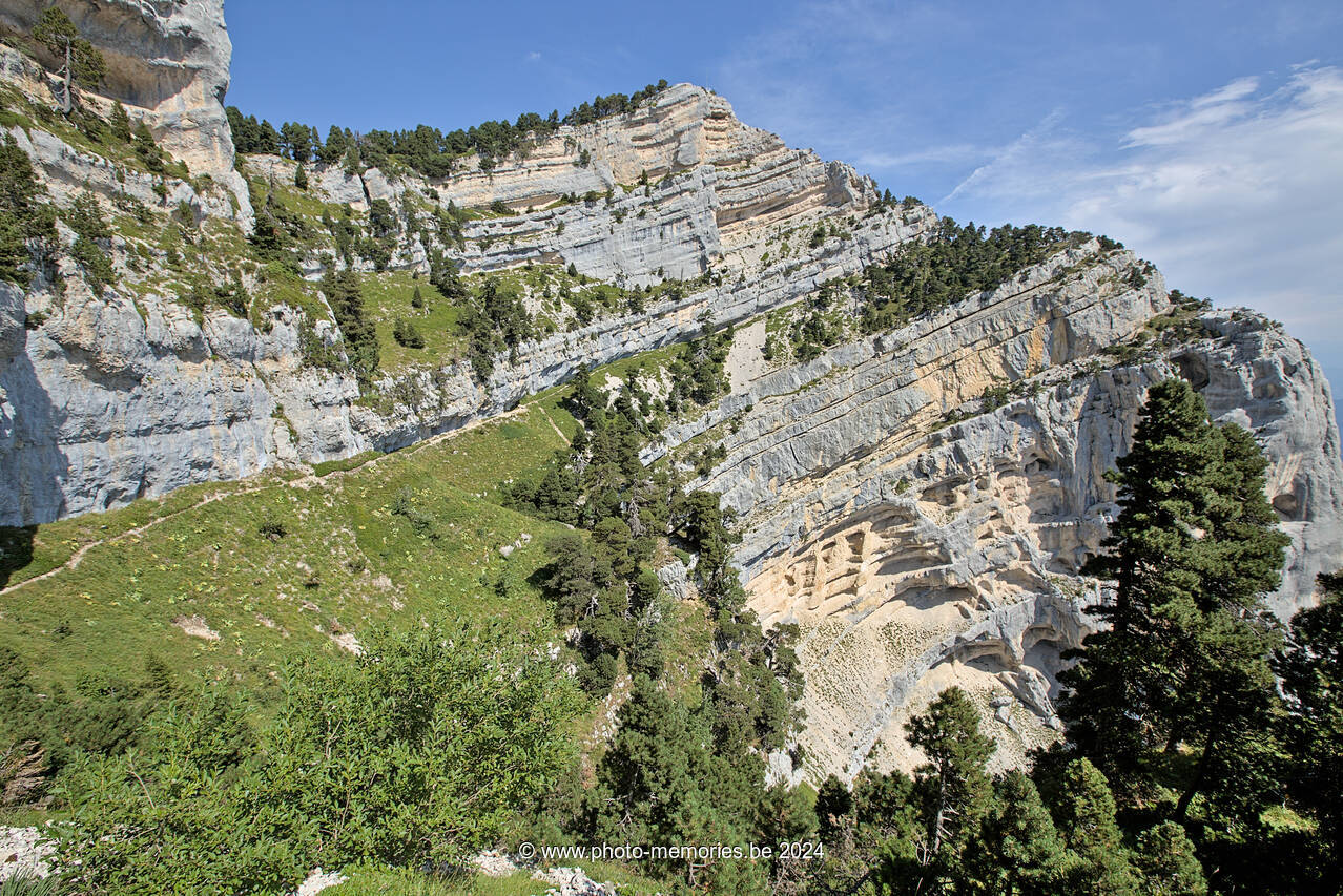 2023-08-25-0213.jpg