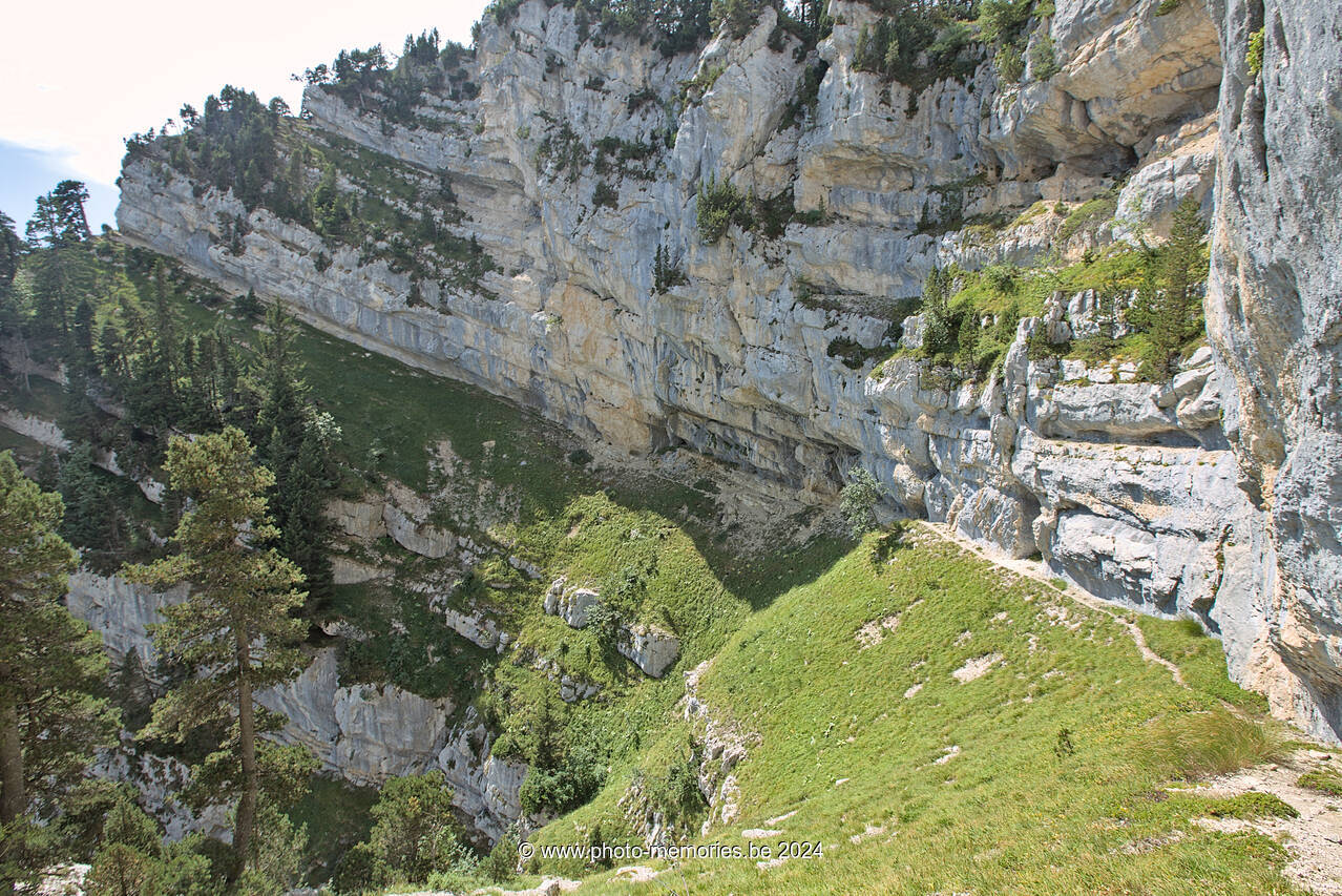2023-08-25-0220.jpg