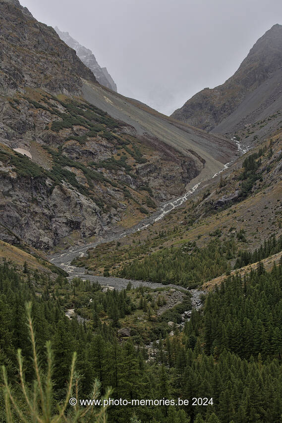 2023-08-28-0238.jpg
