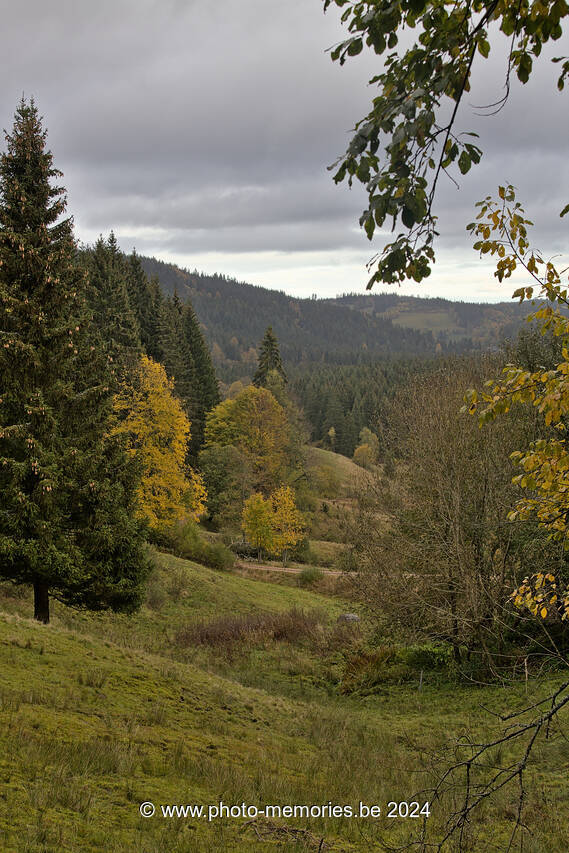 2023-10-28-0008.jpg