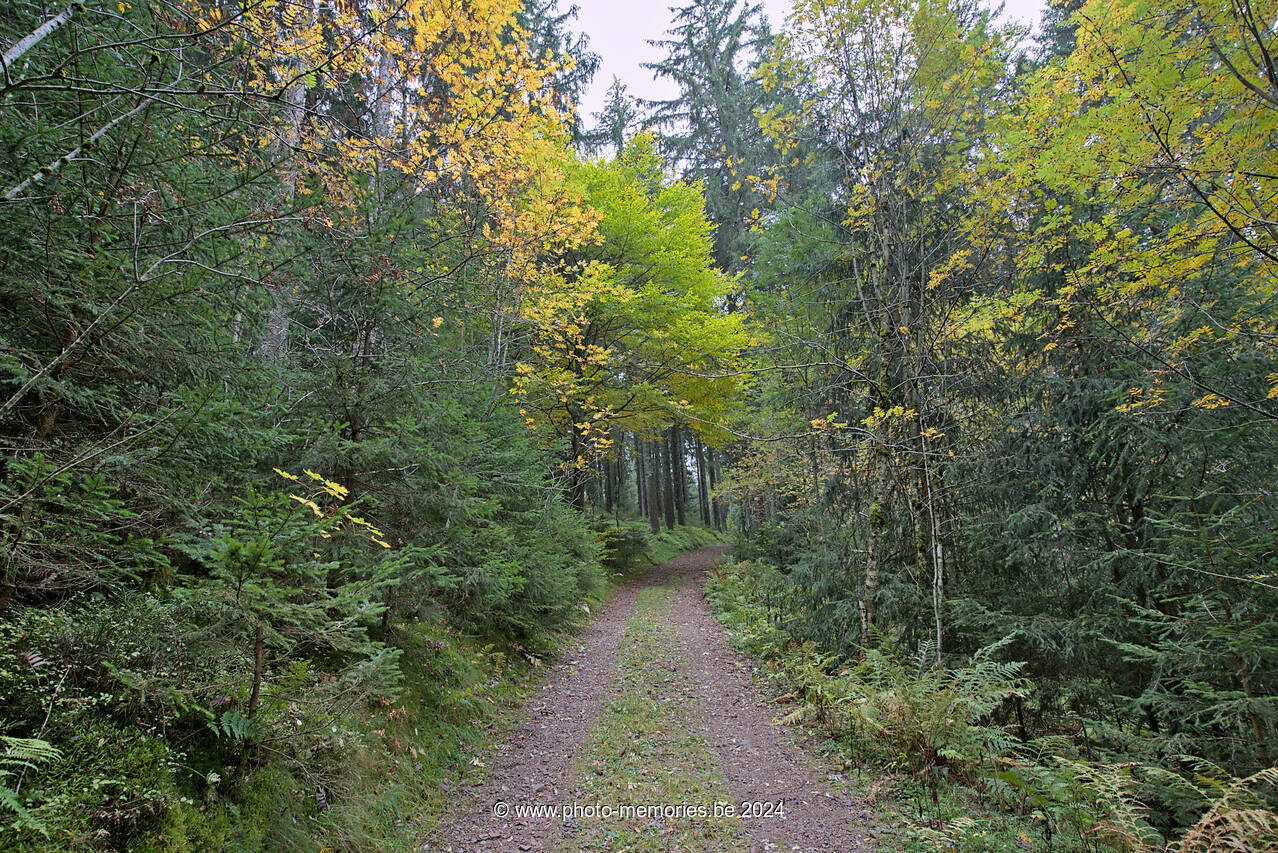 2023-10-28-0011.jpg
