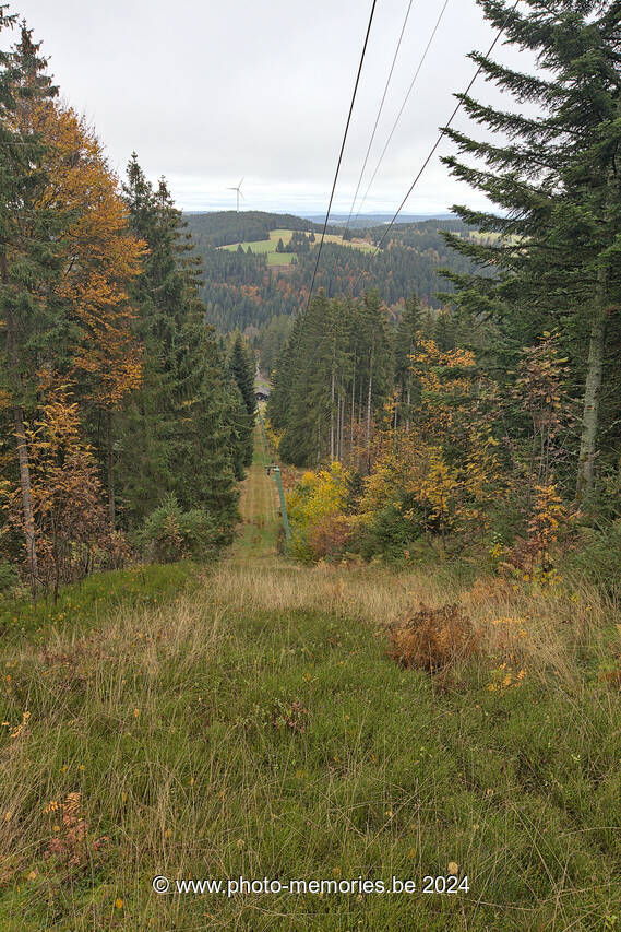 2023-11-03-0090.jpg