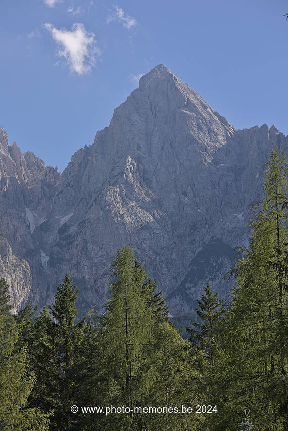 2024-07-05-0005.jpg
