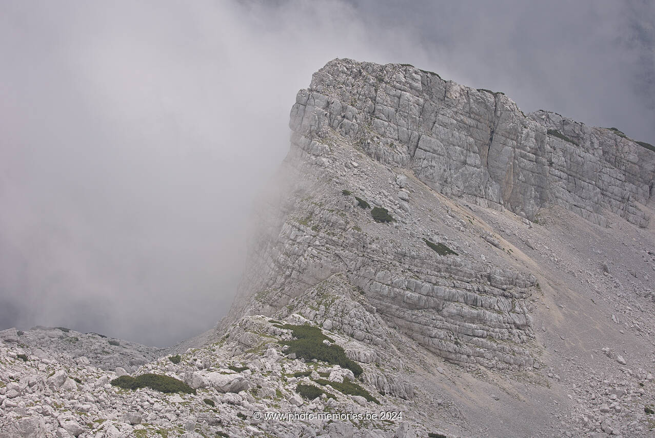 2024-07-06-0029.jpg