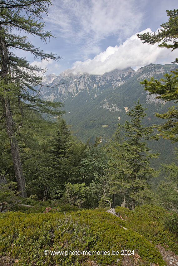2024-07-07-0042.jpg