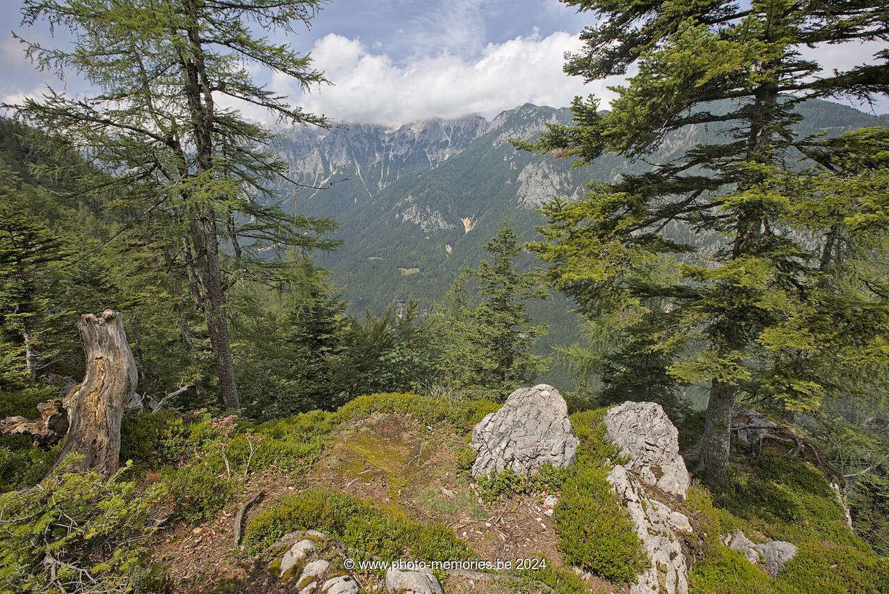 2024-07-07-0044.jpg