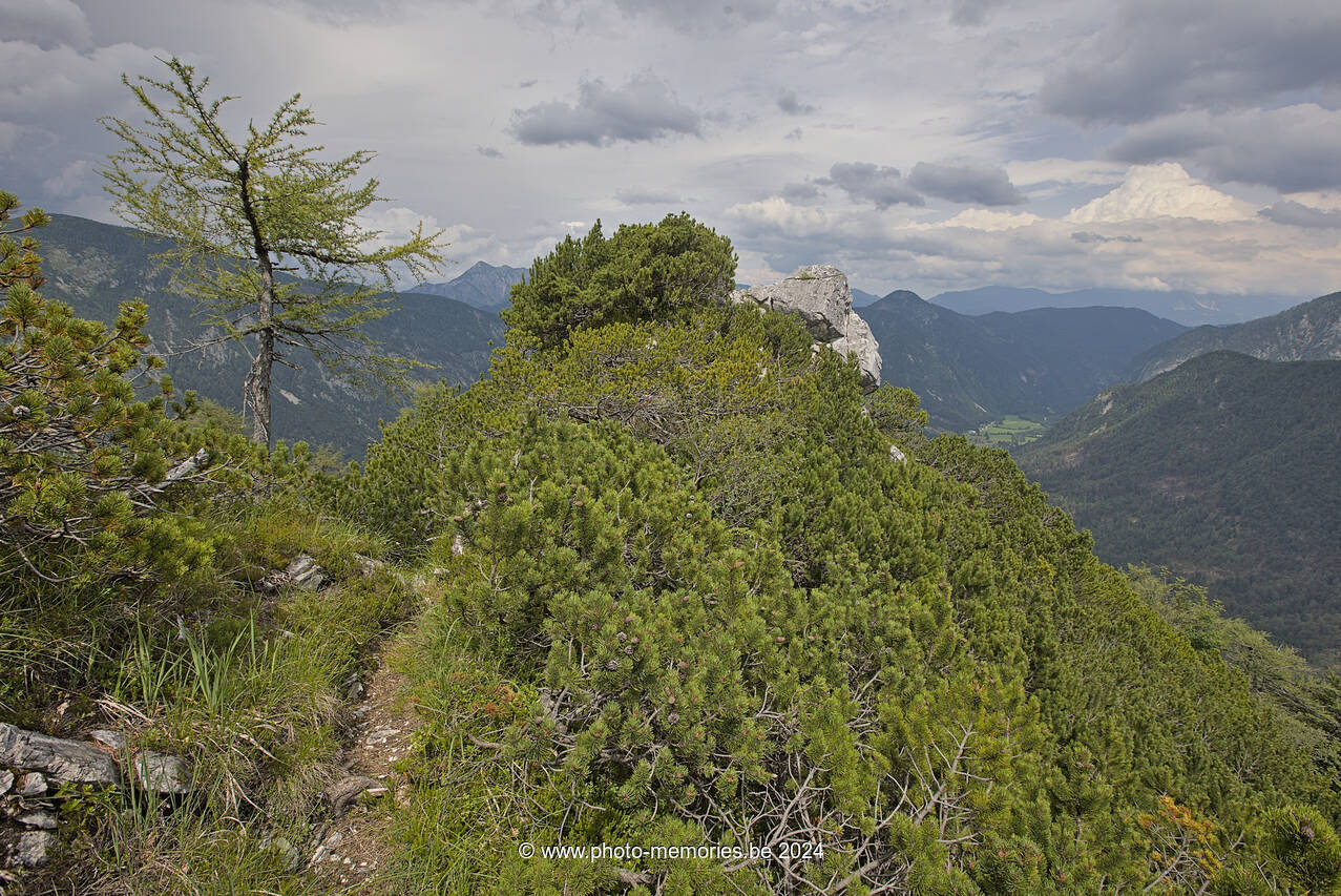 2024-07-07-0055.jpg