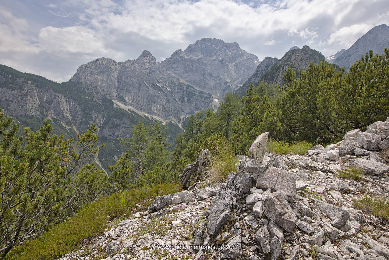 2024-07-07-0056.jpg