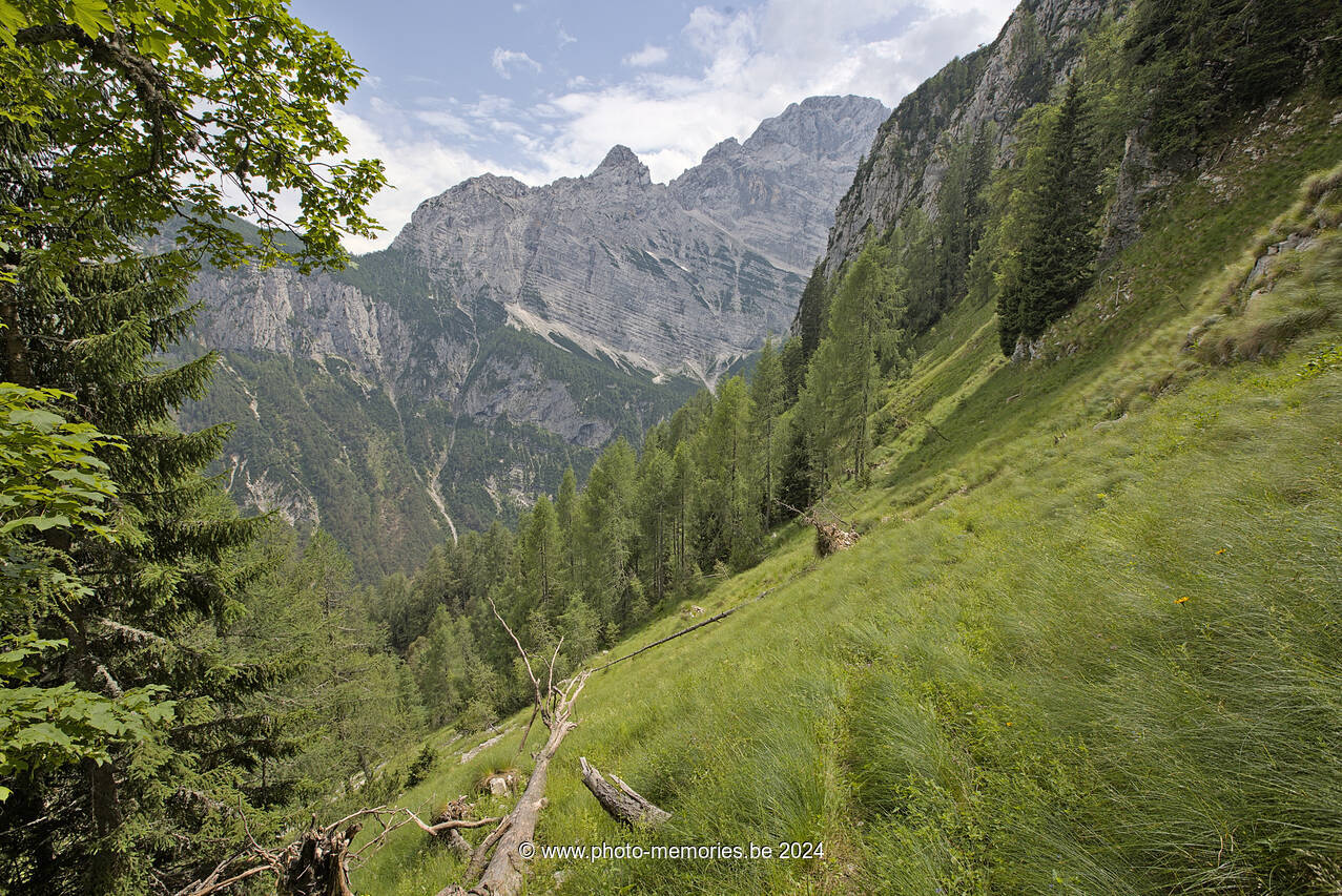 2024-07-07-0057.jpg