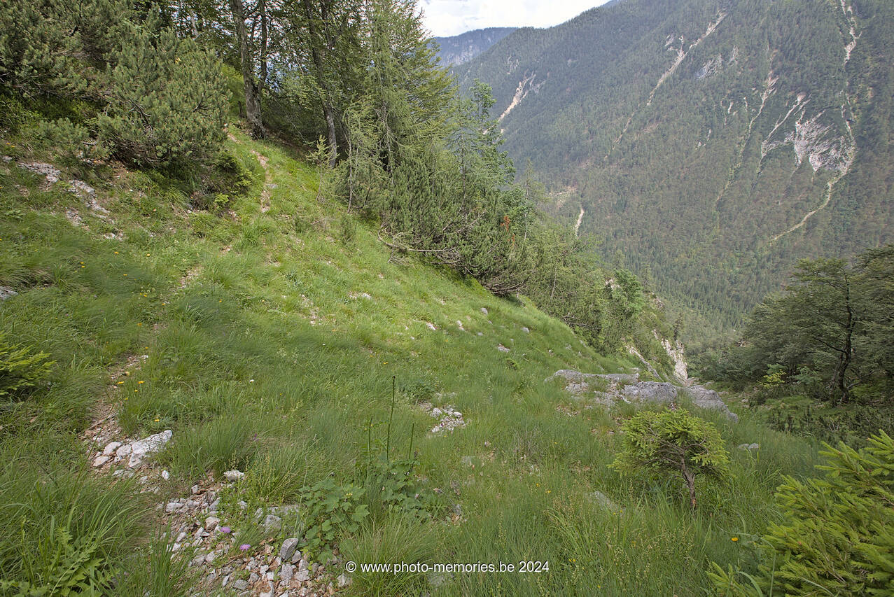 2024-07-07-0058.jpg
