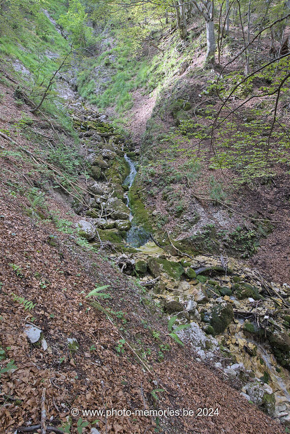 2024-07-07-0059.jpg