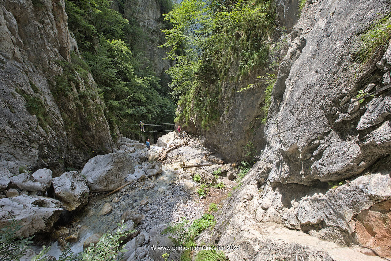2024-07-08-0072.jpg