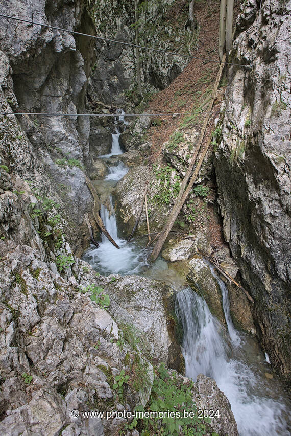 2024-07-08-0086.jpg