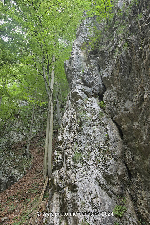 2024-07-08-0087.jpg