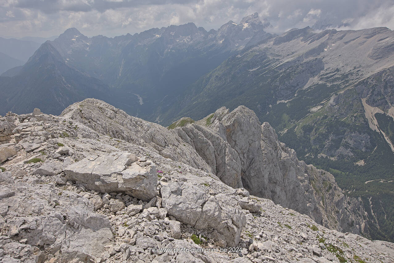 2024-07-09-0139.jpg