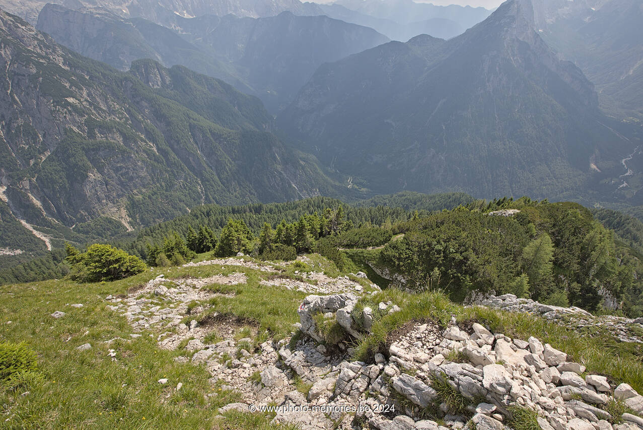 2024-07-09-0143.jpg