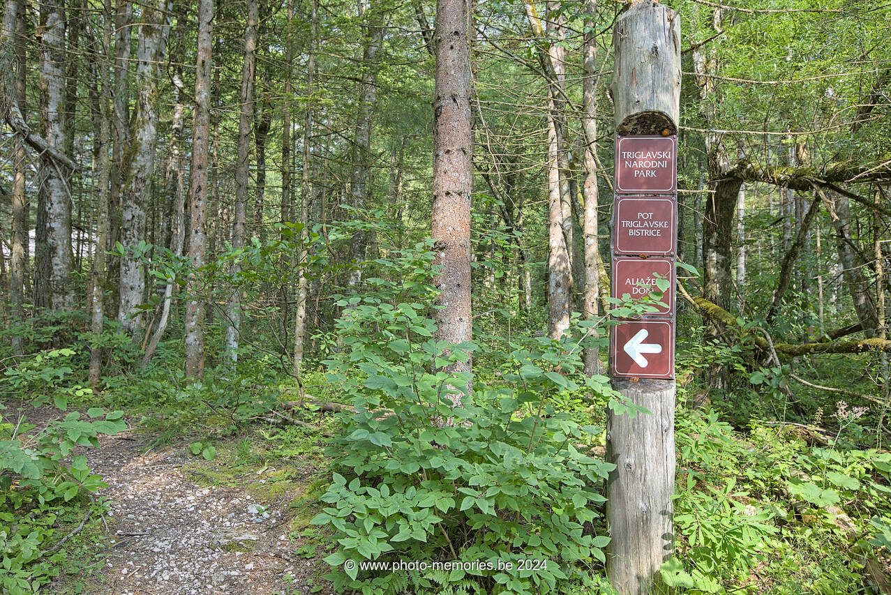 2024-07-11-0176.jpg