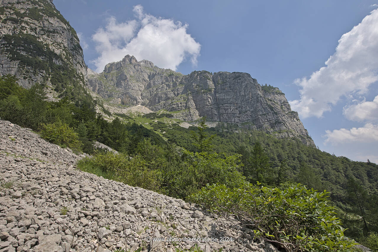 2024-07-11-0181.jpg