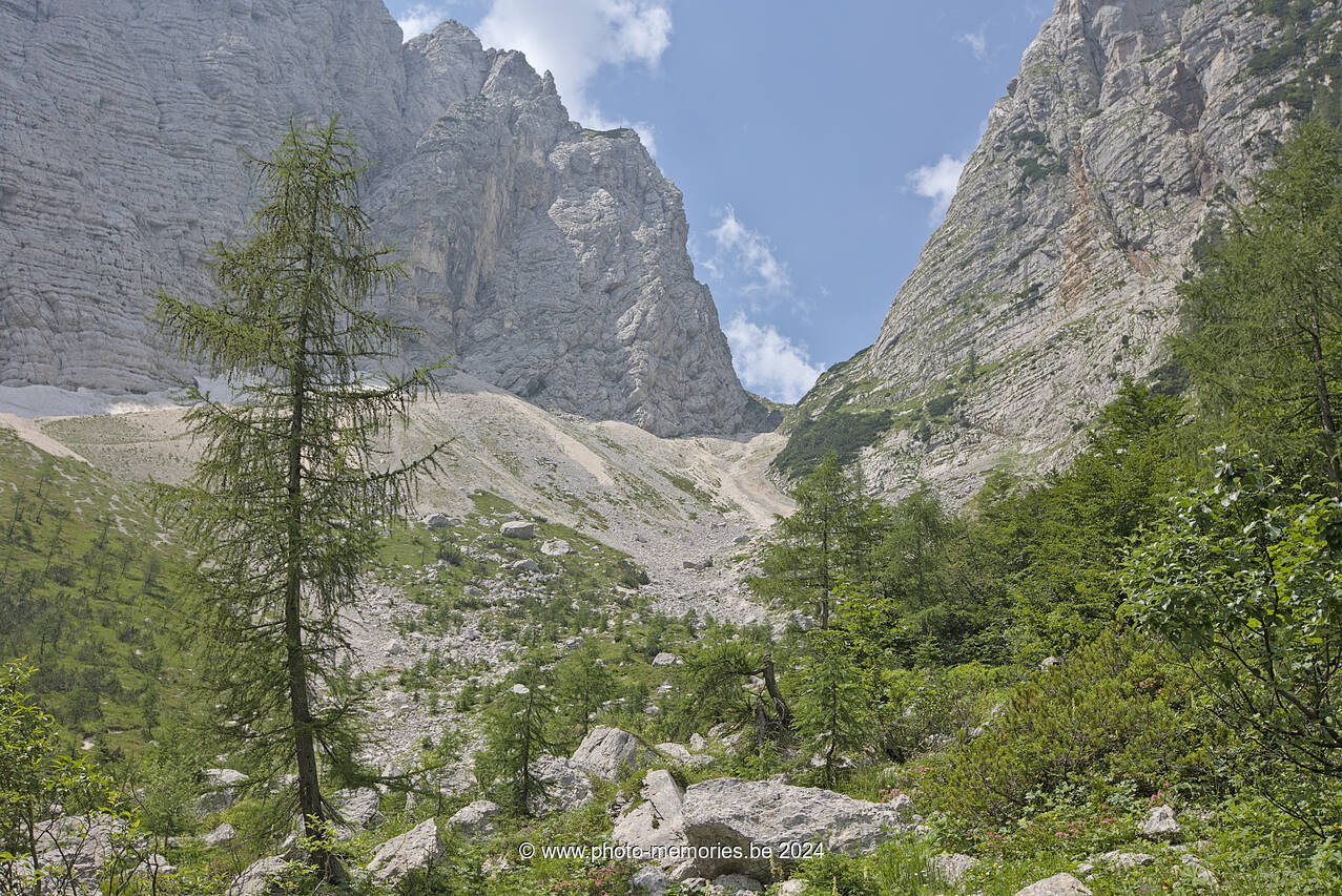 2024-07-11-0183.jpg