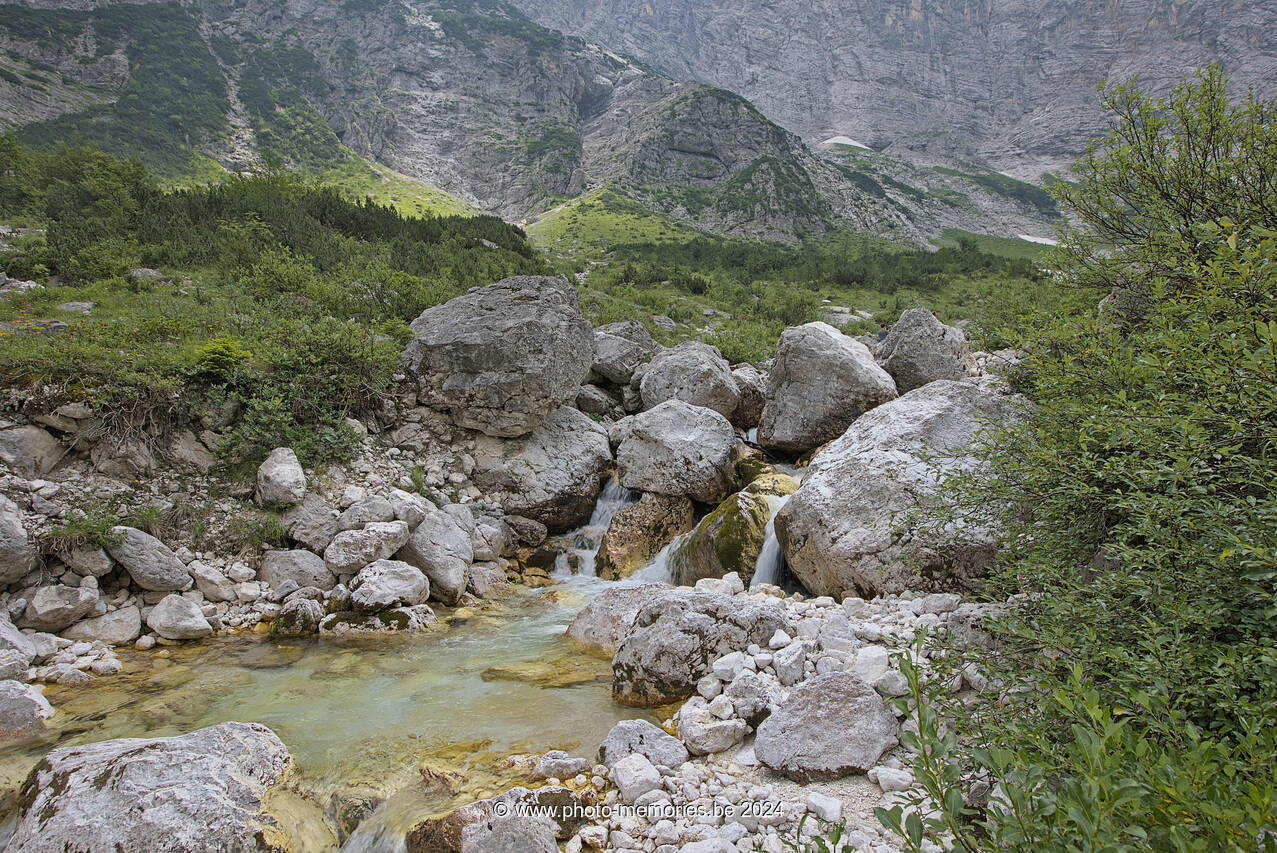 2024-07-11-0185.jpg