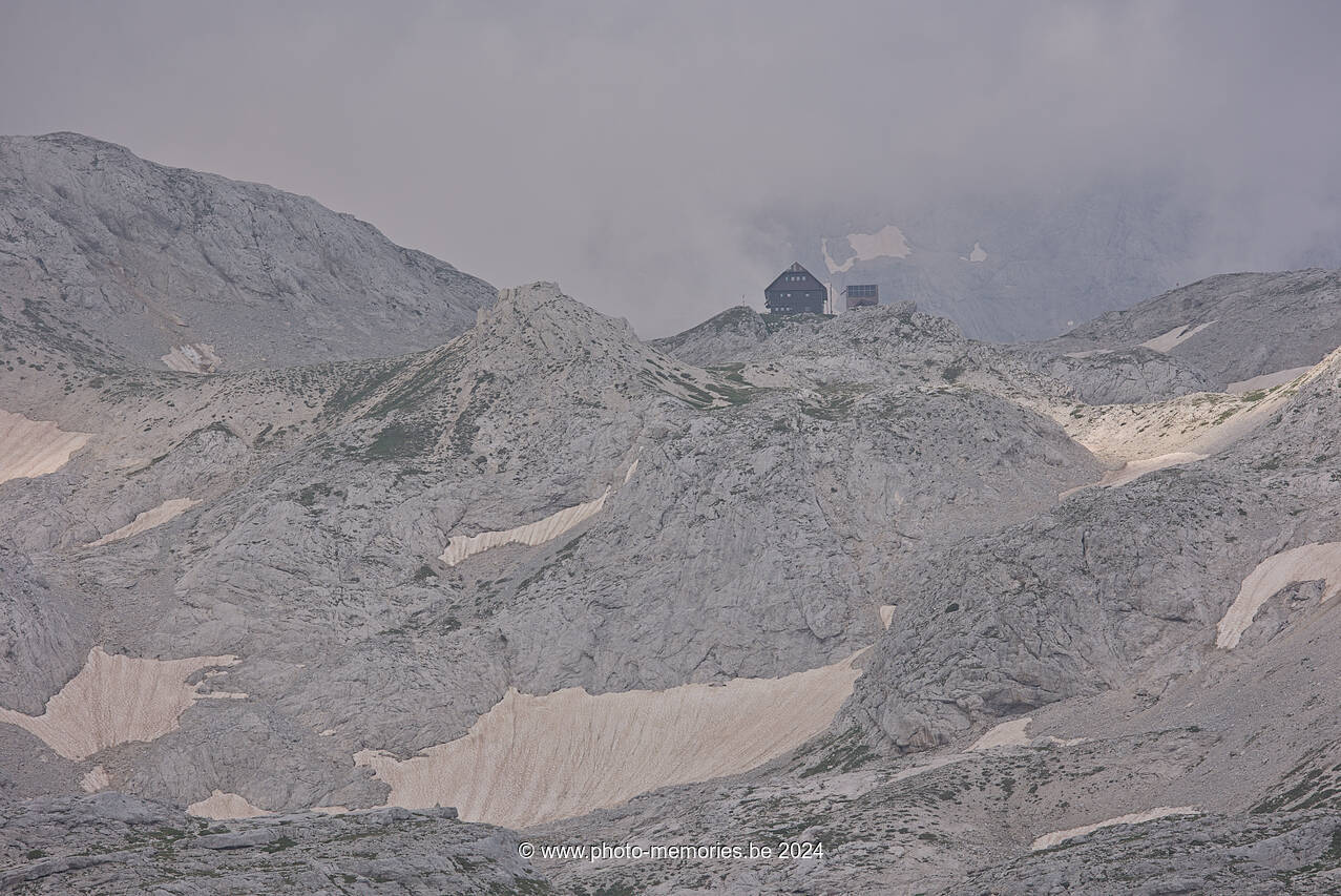 2024-07-12-0199.jpg