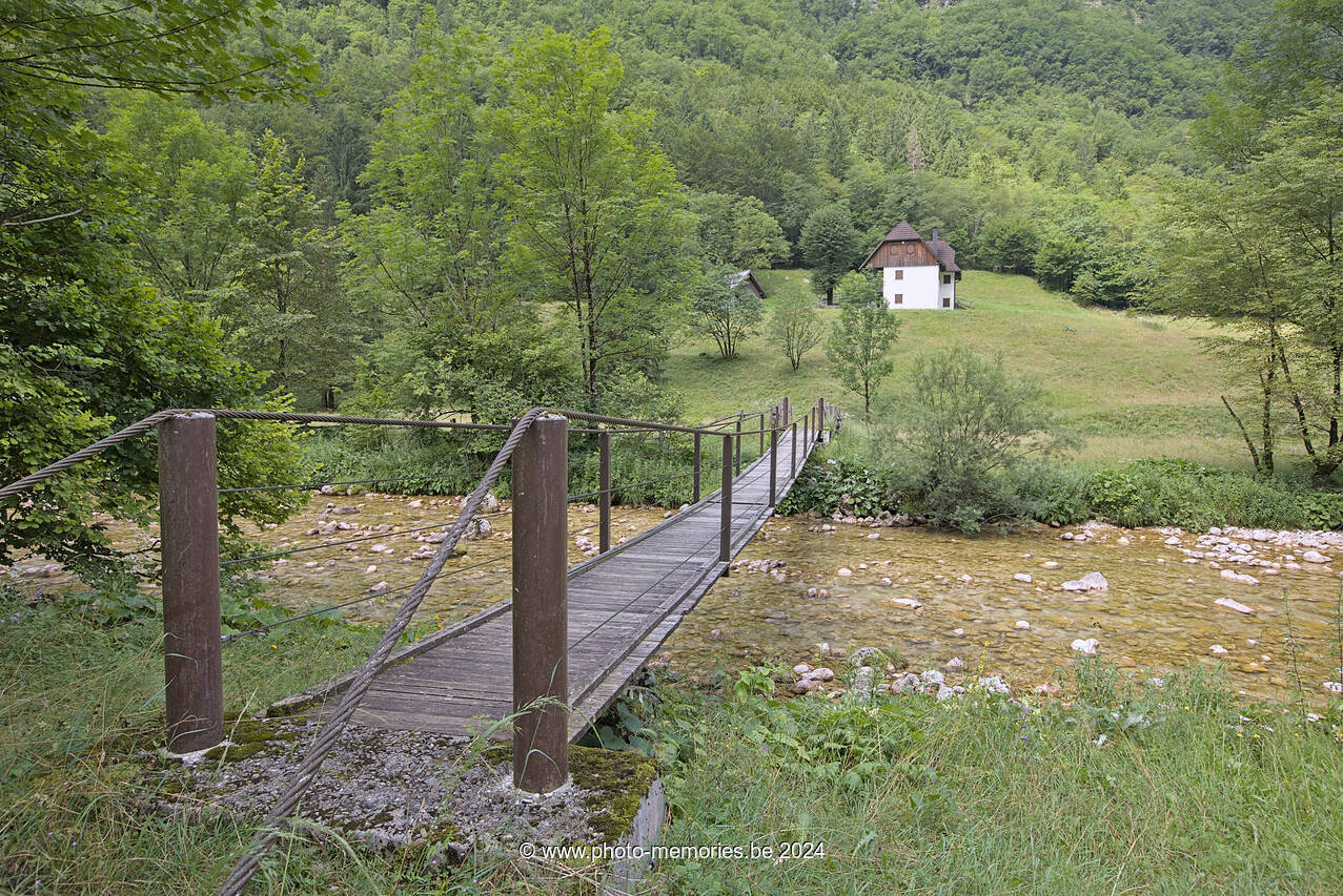 2024-07-13-0223.jpg