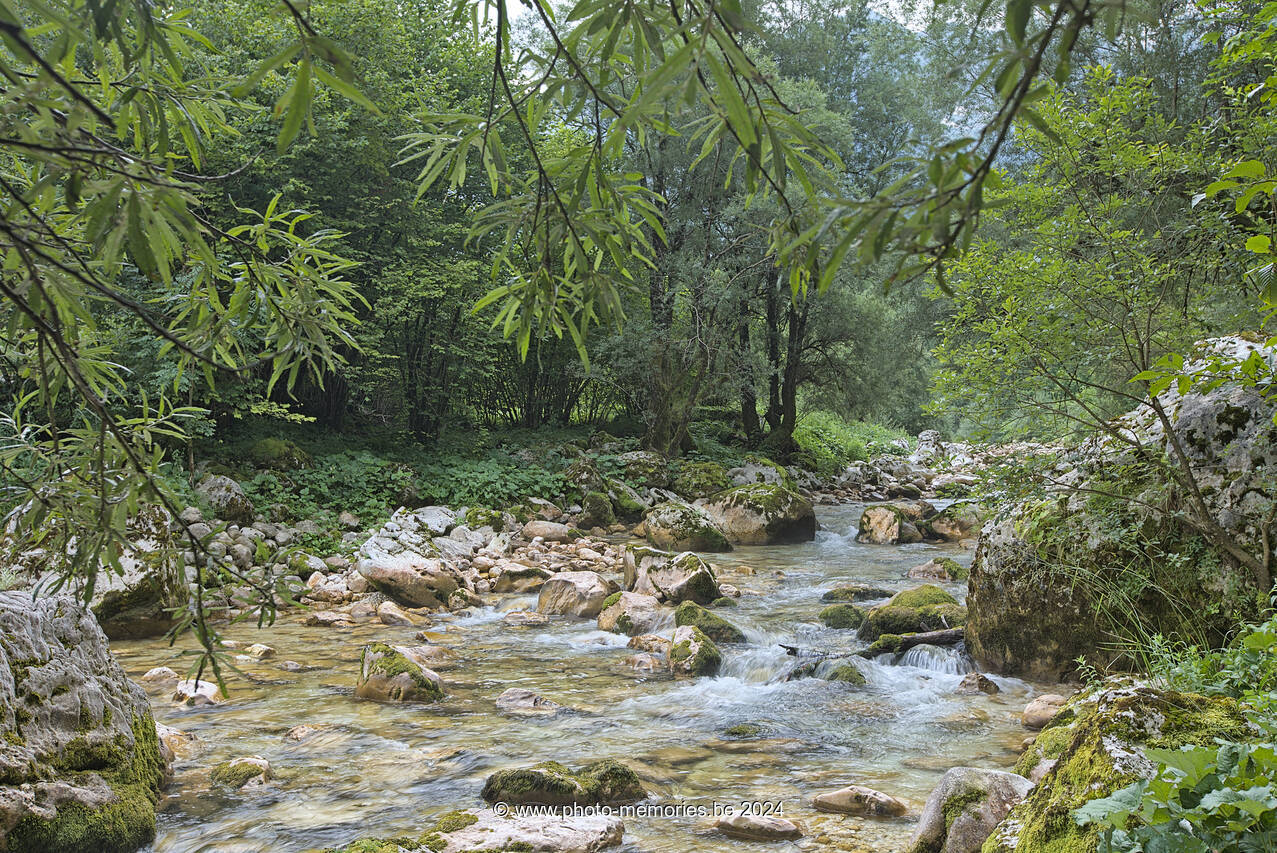2024-07-13-0224.jpg