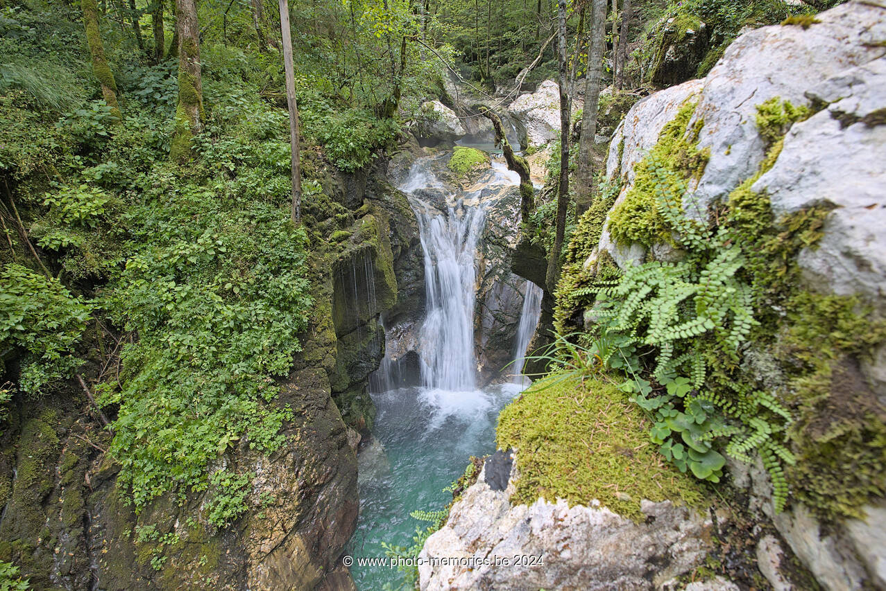 2024-07-13-0228.jpg