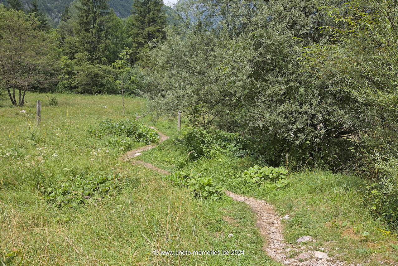 2024-07-13-0234.jpg