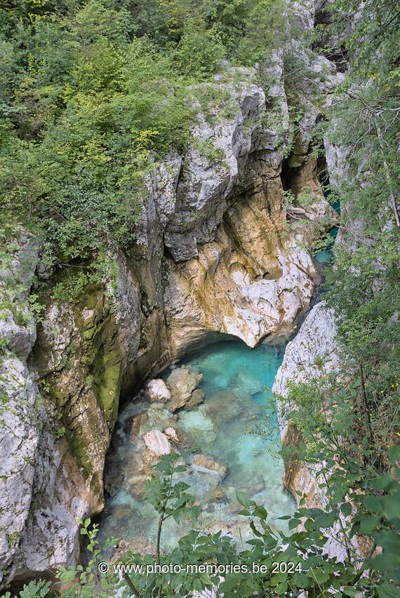 2024-07-13-0236.jpg
