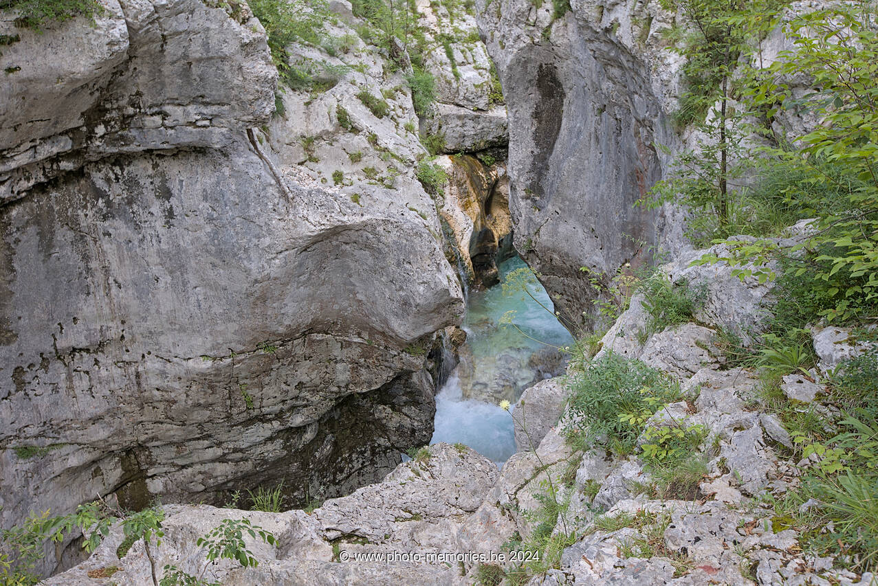 2024-07-13-0238.jpg
