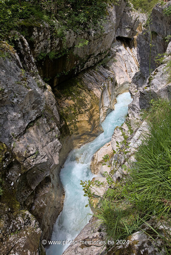 2024-07-13-0239.jpg