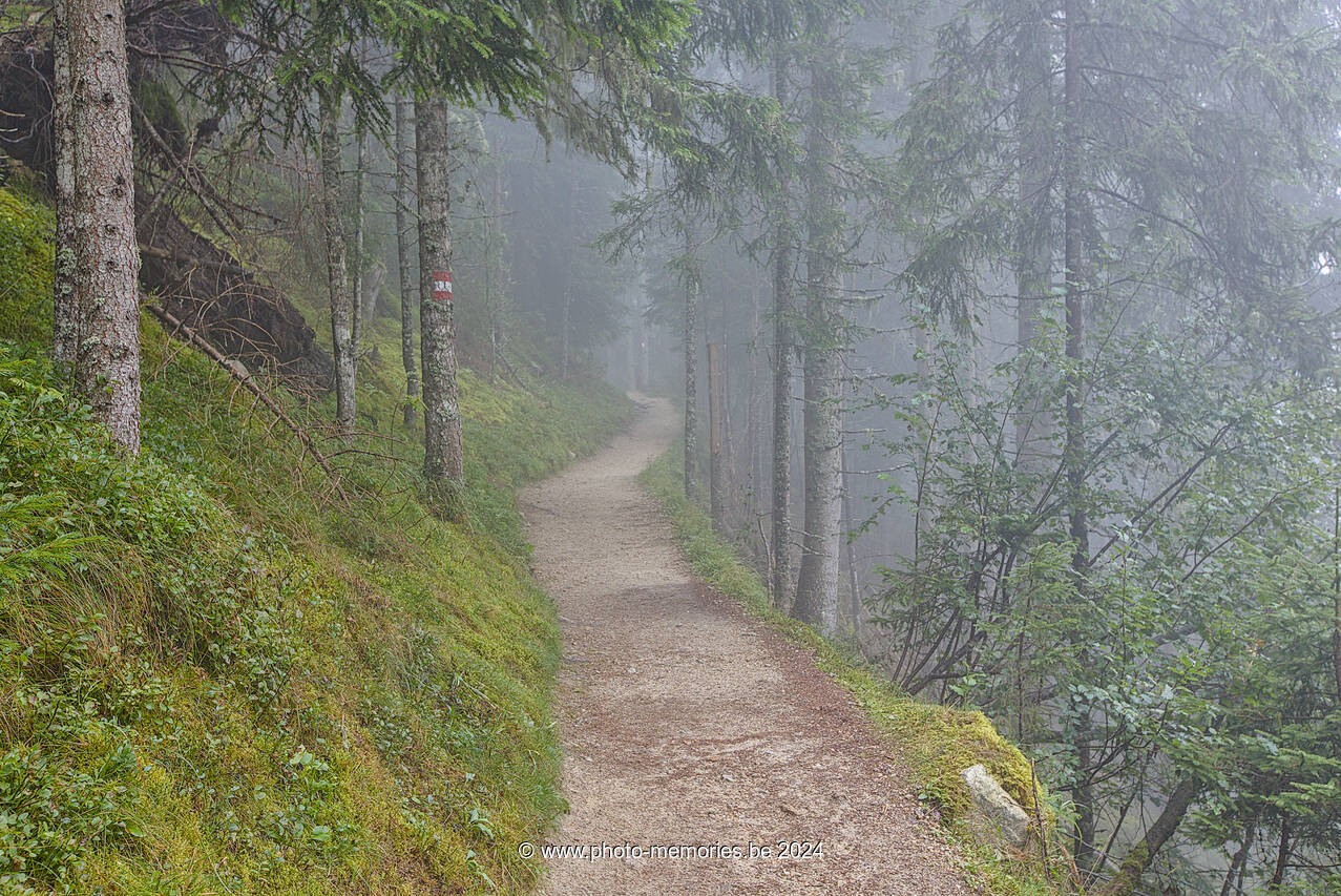2024-08-26-0139.jpg