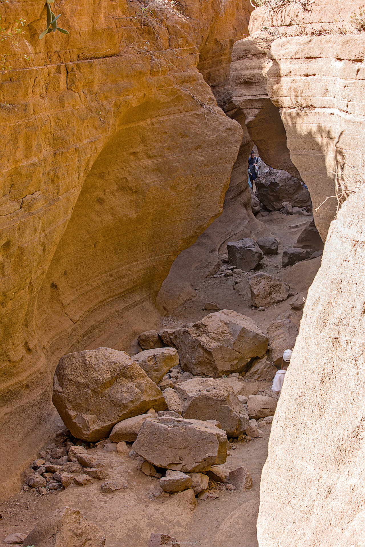 2024-11-29-0009.jpg