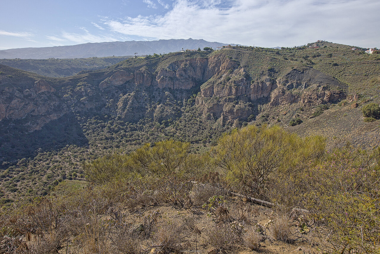 2024-12-02-0104.jpg