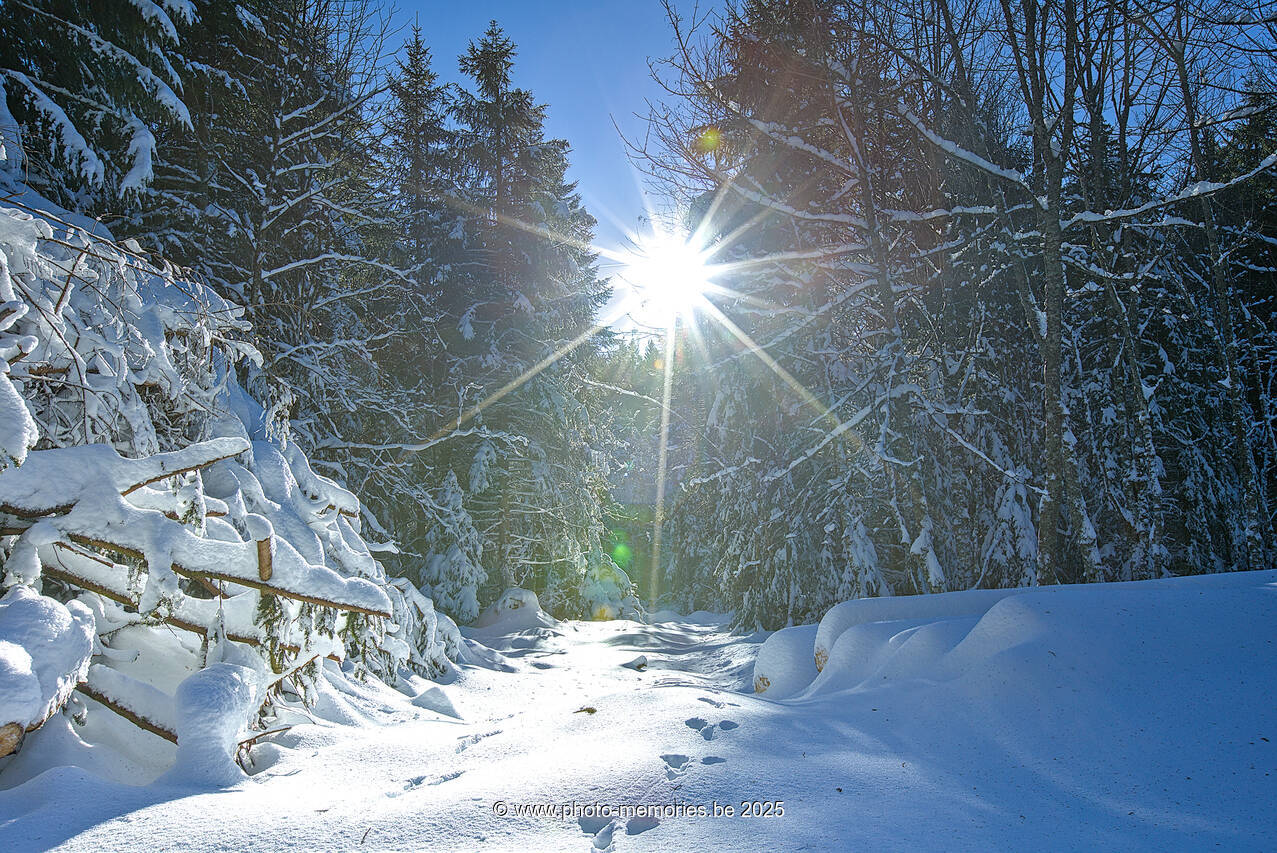 2024-12-26-0014.jpg