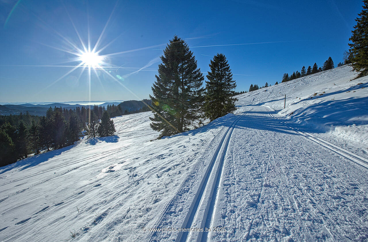 2024-12-29-0060.jpg