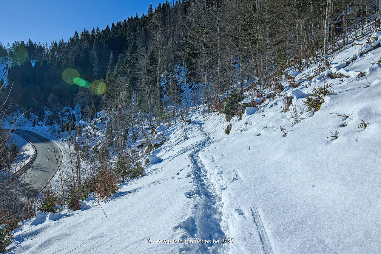 2024-12-31-0066.jpg
