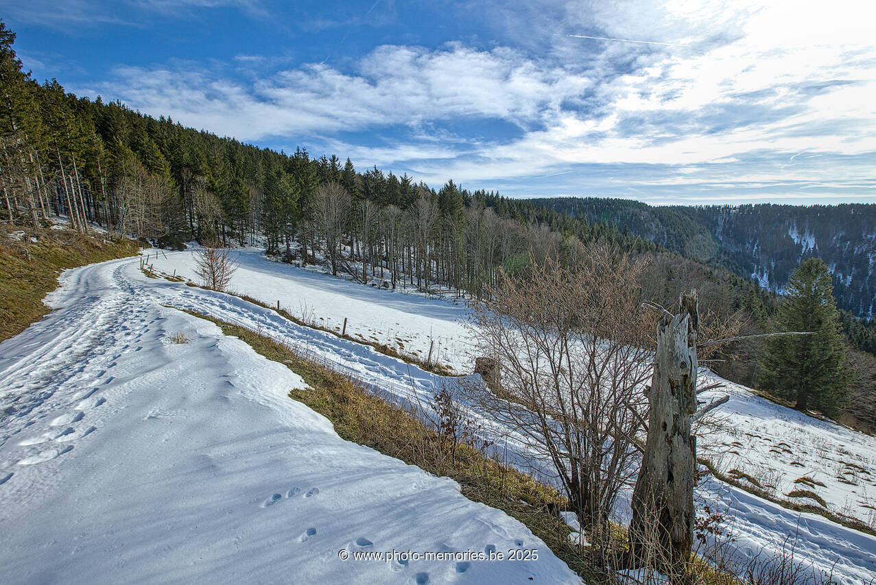 2025-01-01-0087.jpg