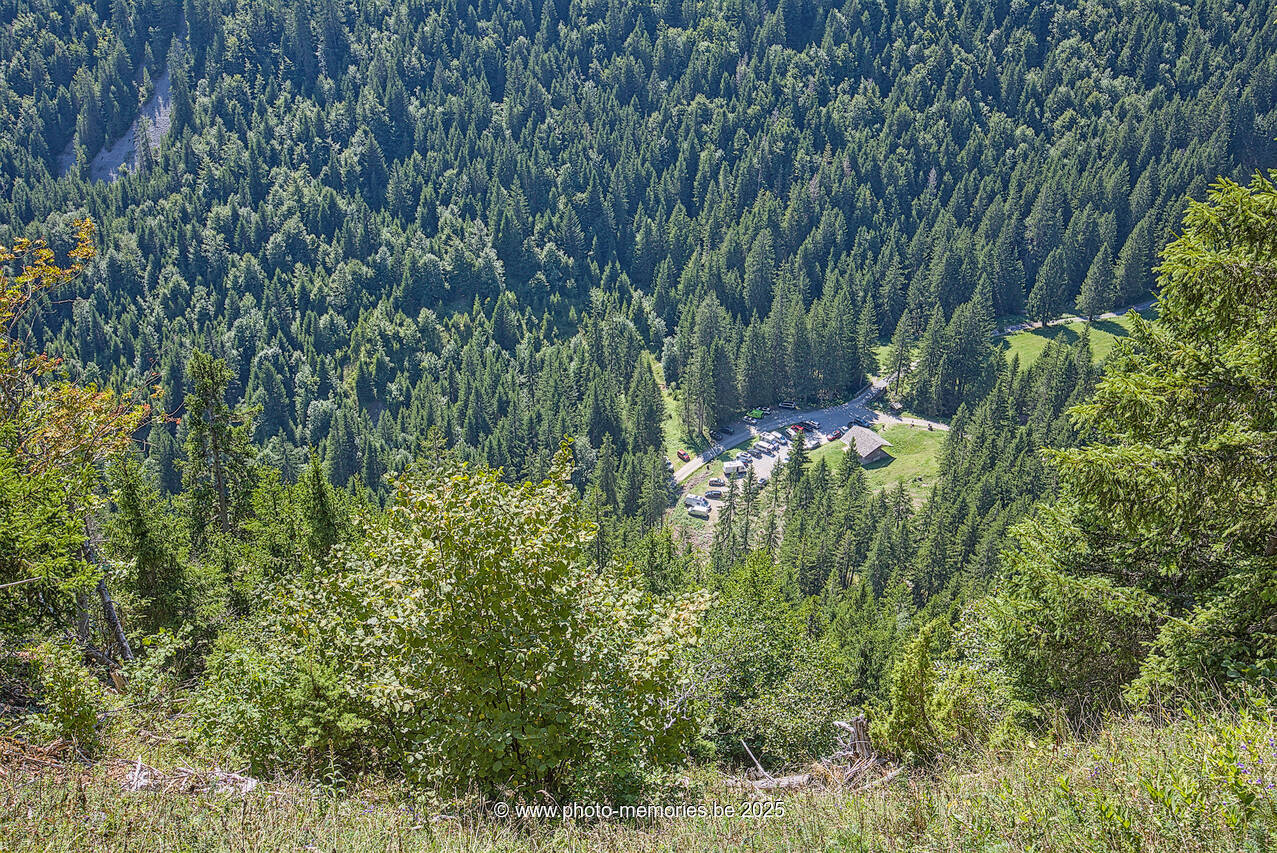 2025-08-24-0082.jpg