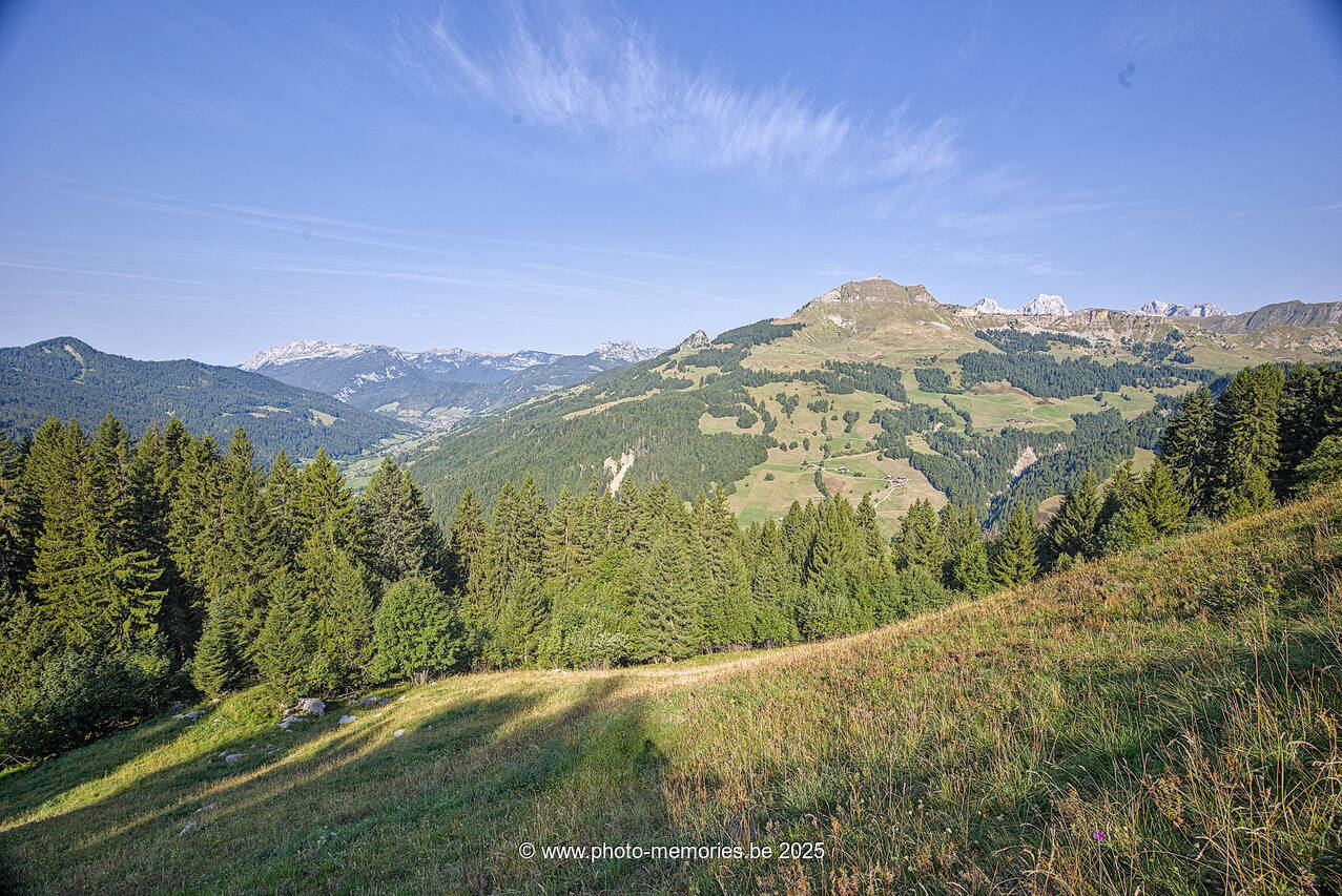 2025-08-26-0104.jpg
